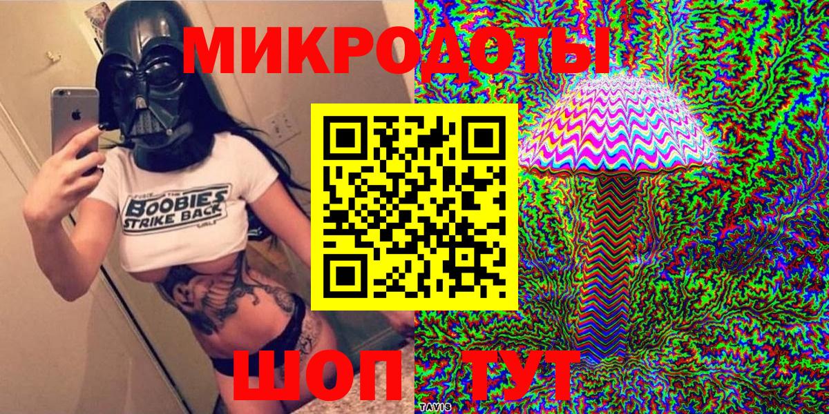 Псилоцибиновые грибы Psilocybe Мариинск